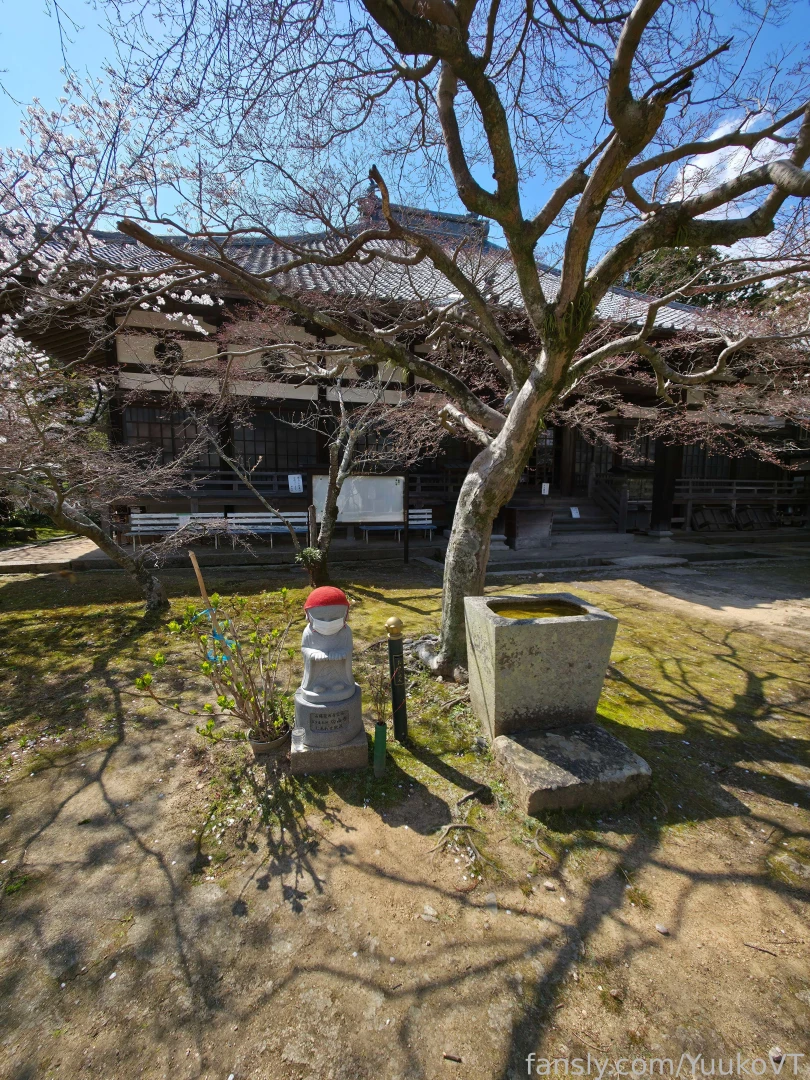 It s spring so there will be many sakura pictures every time i see part 1 