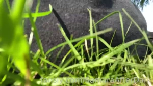 Stinky fart i did in the grass moving all my videos from onlyfans to part 1
