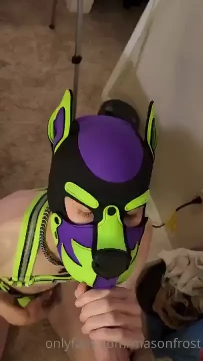 Pup_toxic sucks my bone 