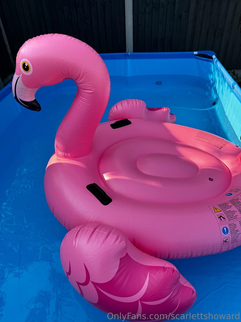 Set up the pool today and my lovely flamingo that was on my wishlist 