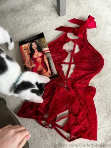 Lenny approves of my new wishlist lingerie thank you brian