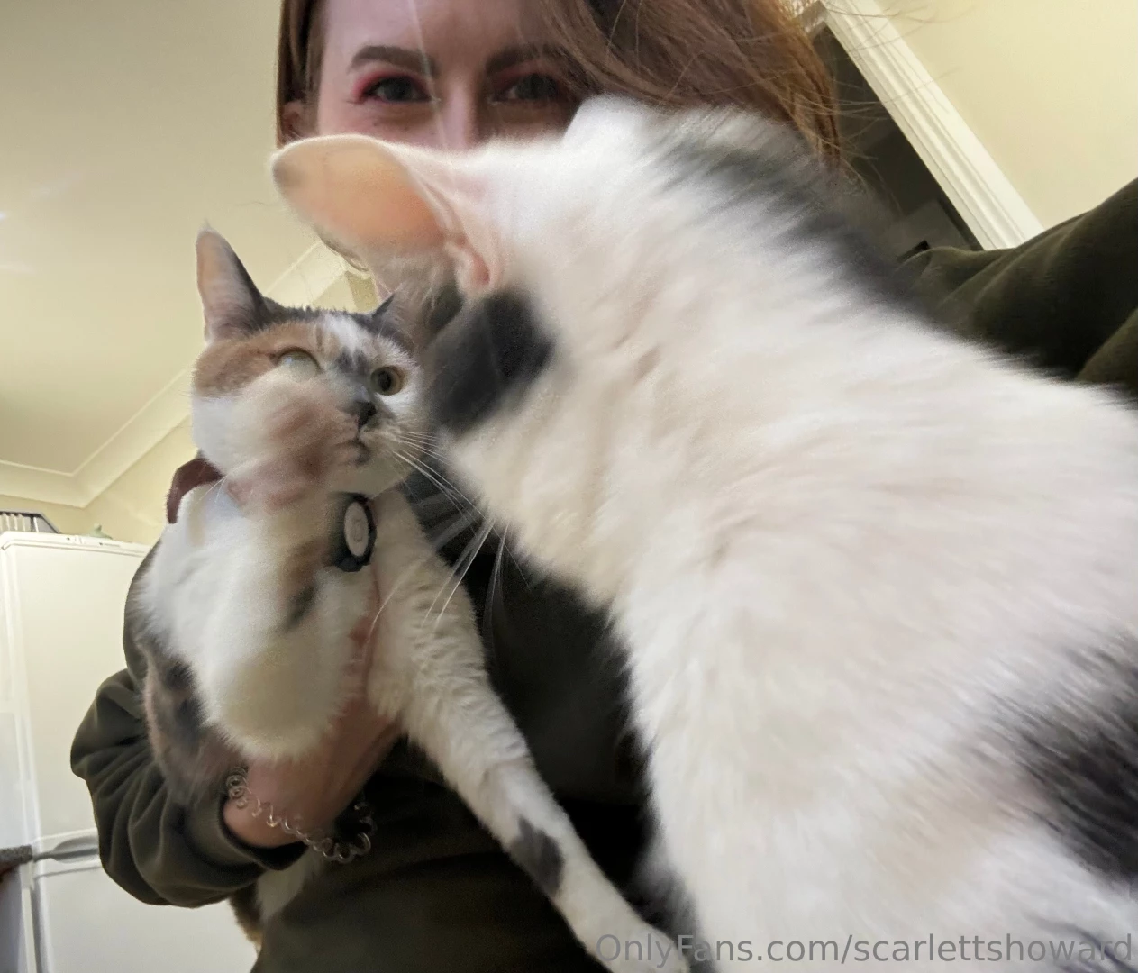 Let s take a cute family pic luna- immedietly slaps lenny round the 