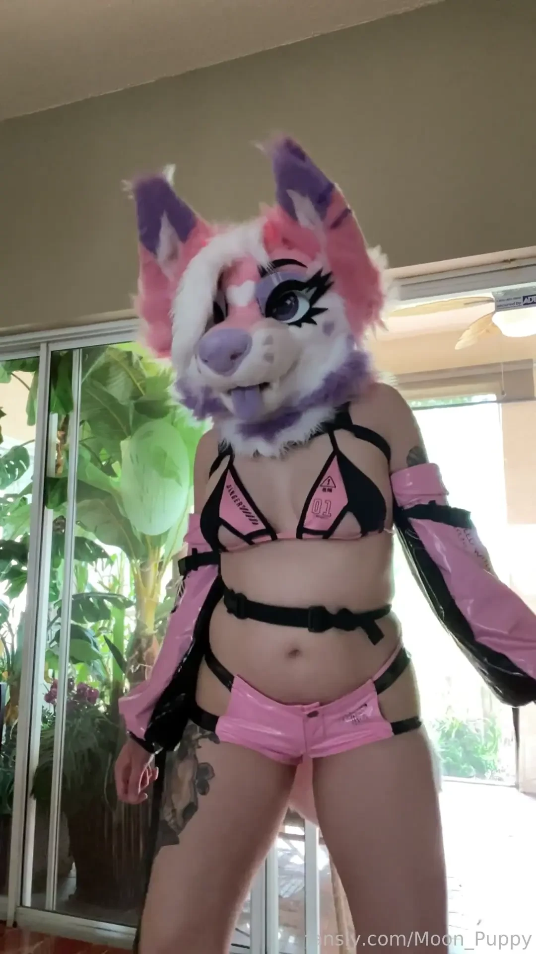 Worship me fyp furry fursuit murrsuit yiff cosplay puppy puppygirl 