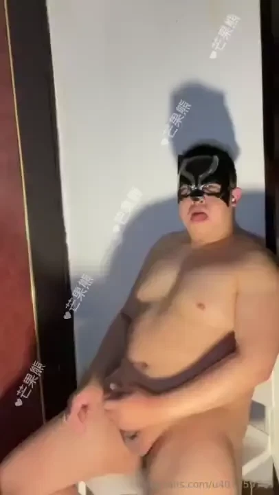 Bears and the city baer s party after an earthquake tag u407759765 