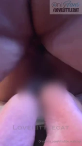 Doggie play on sofa full-nocensors clips on lovelittlecat onlyfan 800