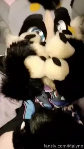 Corgi is back and prepared for pets 3 if yous like what you see feel