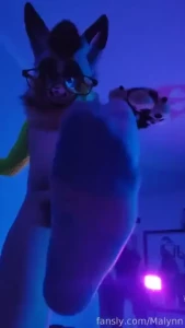 Steppies n sitties with a lil bit of breeding 3 murrsuit murrsuiter