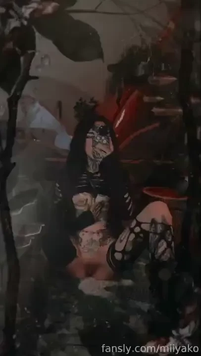 Come see where the song of the cicada is leading you 