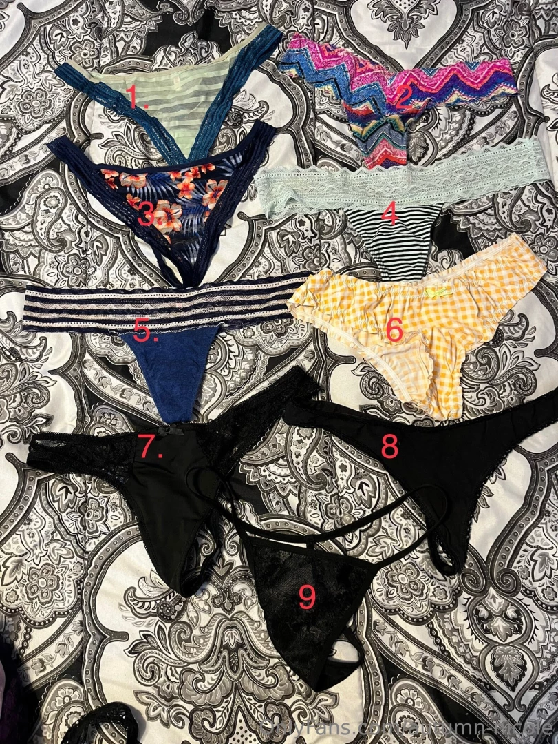 Panty paradise step into my panty paradise where the naughtiest most part 2 