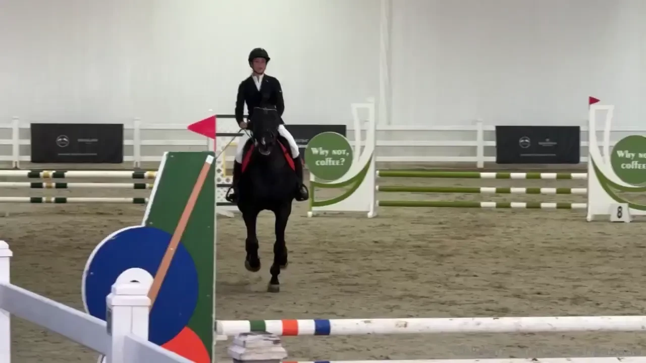 On the weekend i had a horse riding competition and i want to share a 