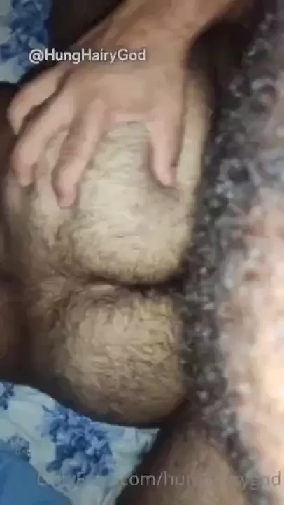 Rab o peludao pra voc leitar hairy ass breed me putosotero 