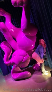 Chasing rabbit s in colorado just enough fun