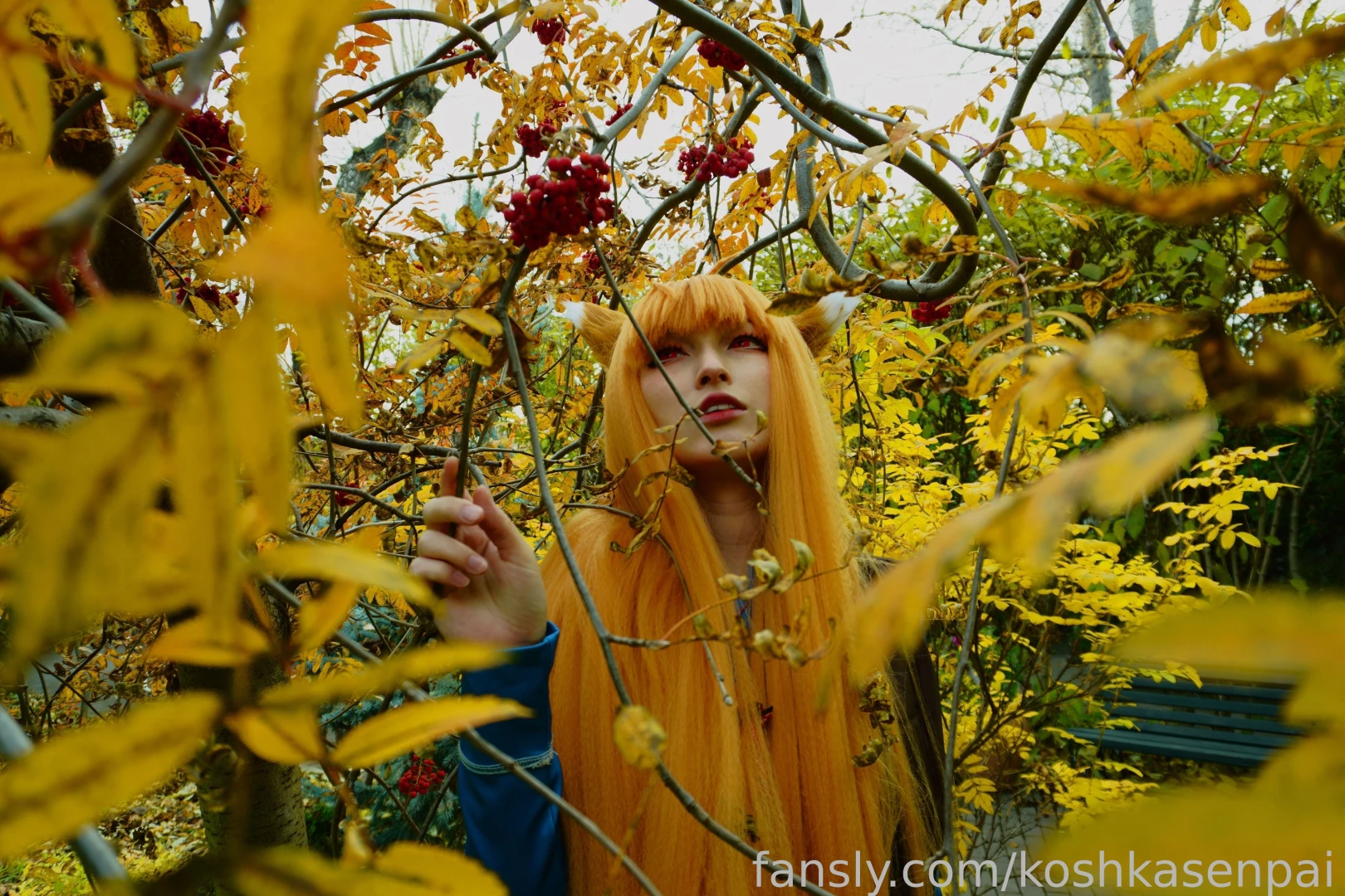 The wise wolf holo comes to people for walk in the park cosplay trans part 16 