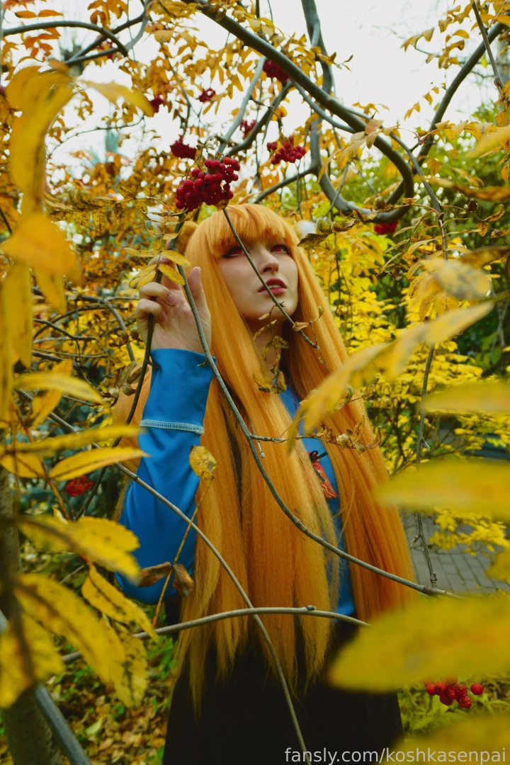 The wise wolf holo comes to people for walk in the park cosplay trans part 9 