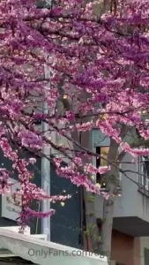 Ah this is so beautiful