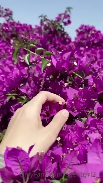 Agentgirl2_0 part 118 