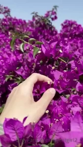 Agentgirl2_0 part 118