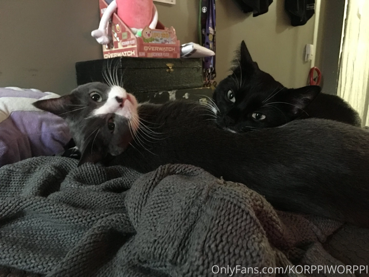 I ve been feeling really off for the last little bit please accept 