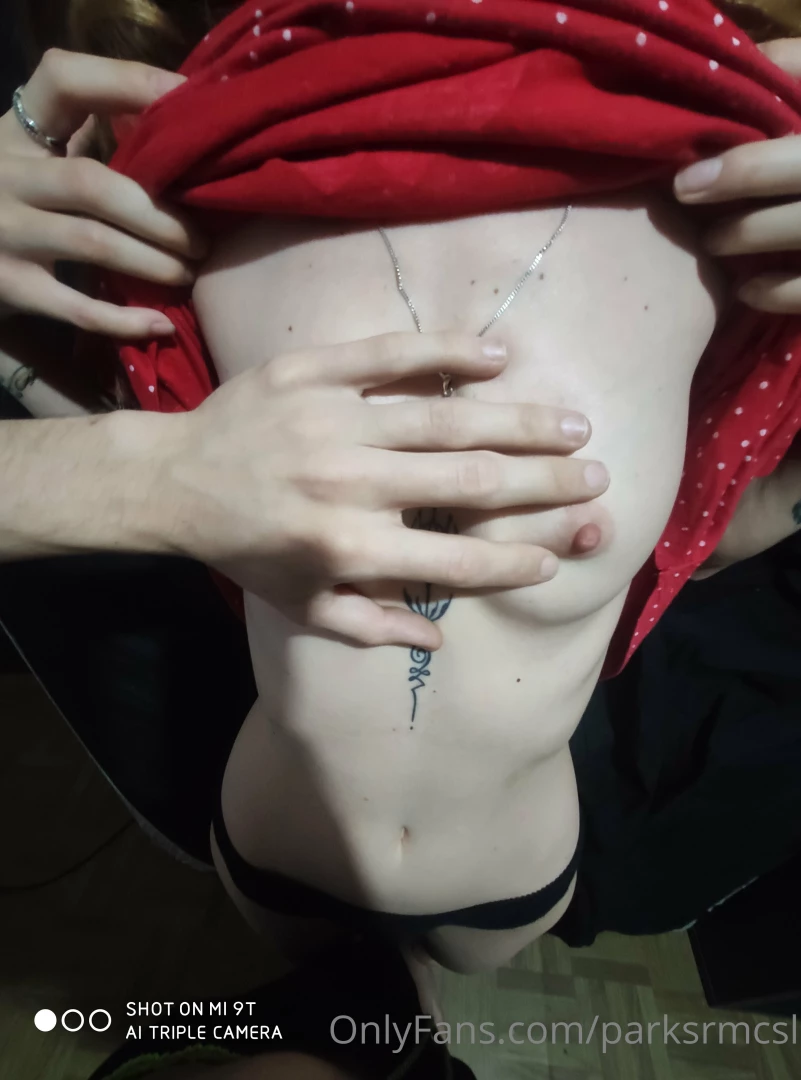 Parksrmcsl part 1793 