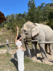 Low-key vibes high-key energy