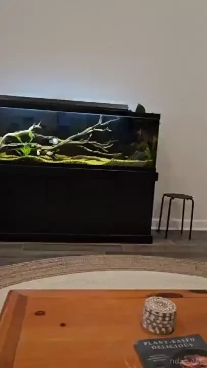 I had drdixwell over for drinks and caught him filming me on the couch 