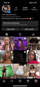 Instagram com ziareloadedalt until further notice