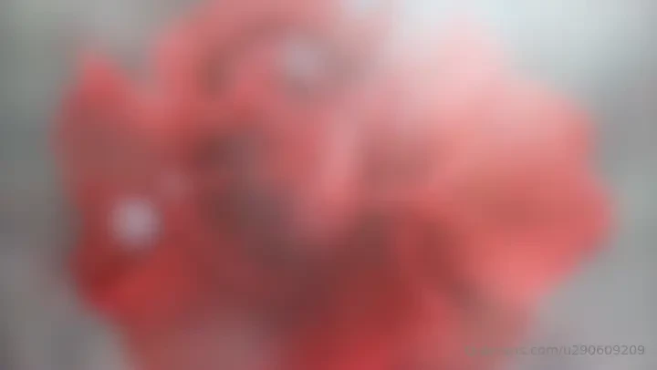 Day 81 of a 40-day nurturing of the heart chakra every day i will do 