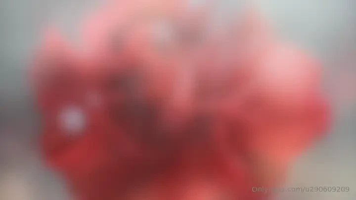 Day 63 of a 120-day exploration of the essence of self followed by the 