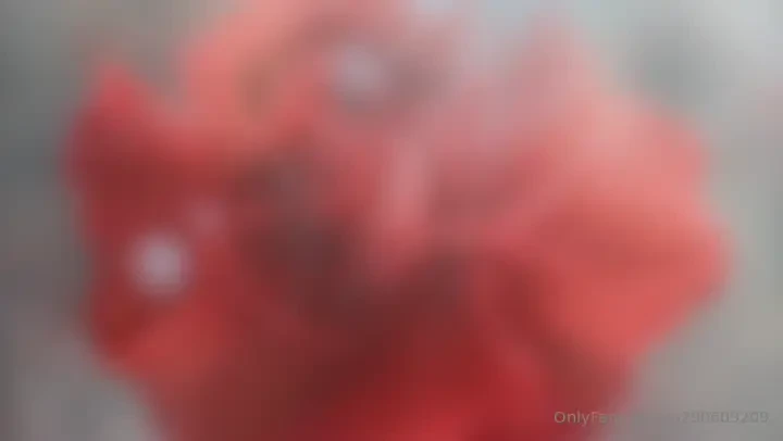 Day 100 of a 120-day exploration of the essence of self followed by 