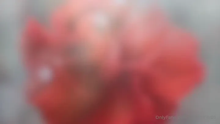 Day 88 of a 120-day exploration of the essence of self followed by the 