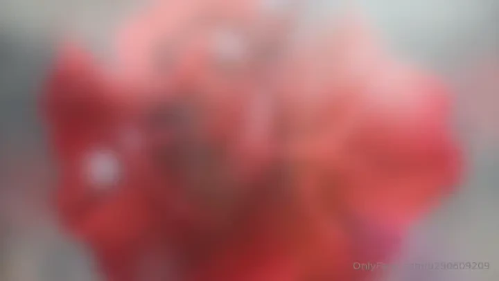 Day 77 of a 120-day exploration of the essence of self followed by the 