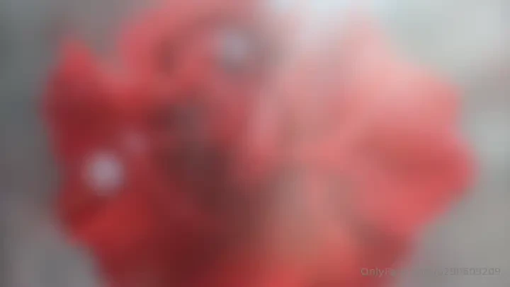 Day 71 of a 120-day exploration of the essence of self followed by the 