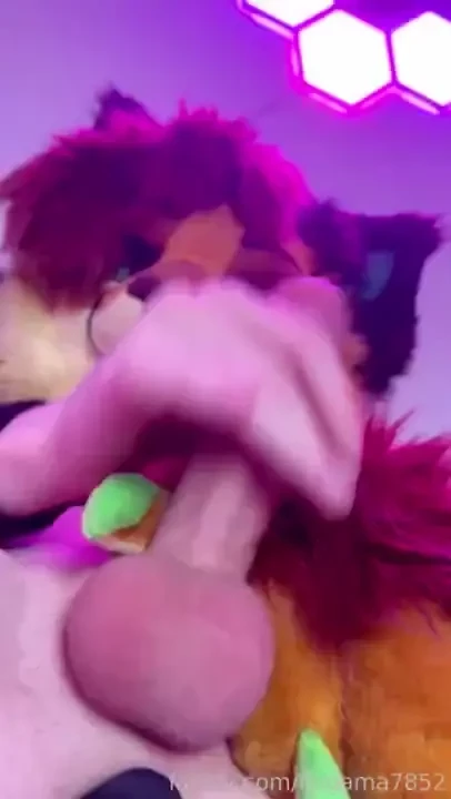 You asked me how big was my boyfriend s cock so i plugged mardao and 