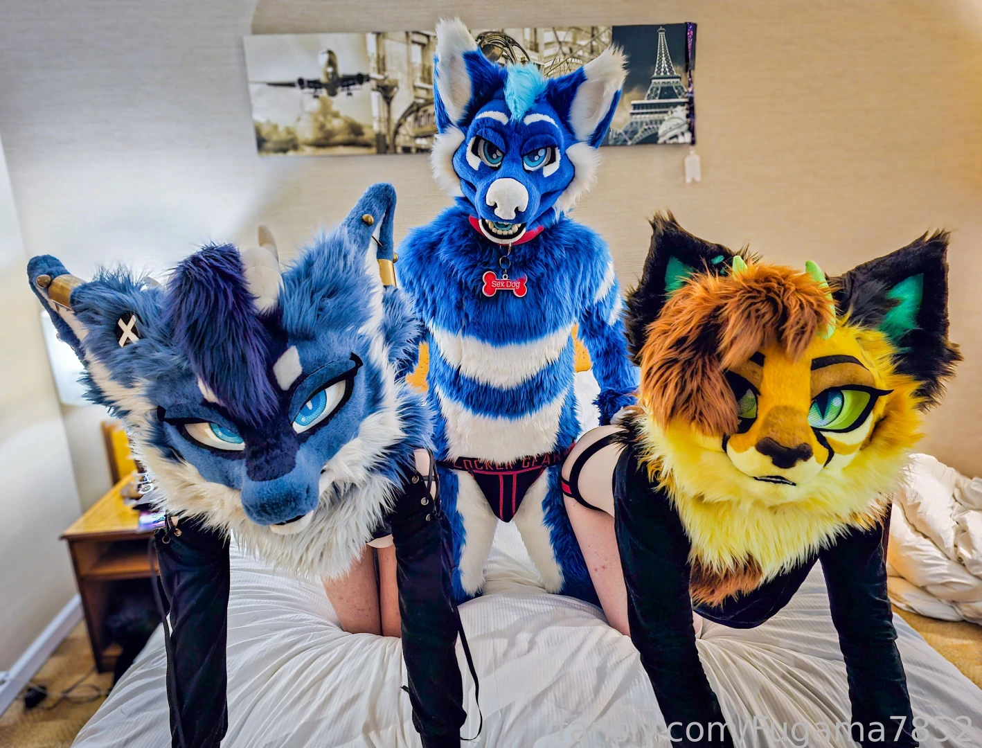 This naughty dog is so needy friskymurmur teared away our undies to part 1 