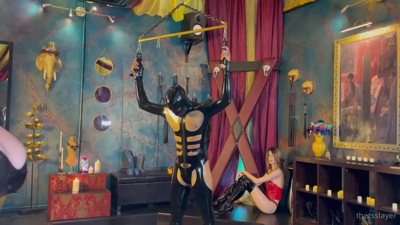 Bull is trained to please a domina with domina_dahlia - full 20 mins 