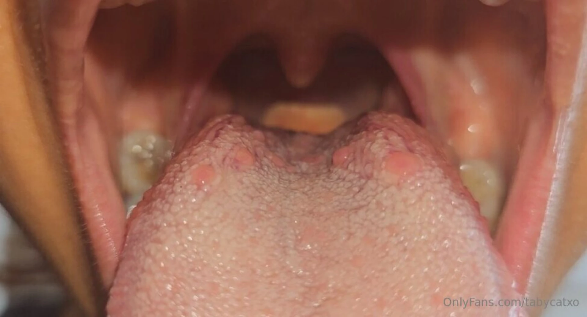 Https onlyfans com 771958449 tabycatxo 