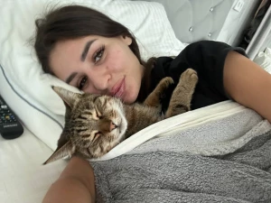 Would you like me to tell you the history of hug day the origin of the