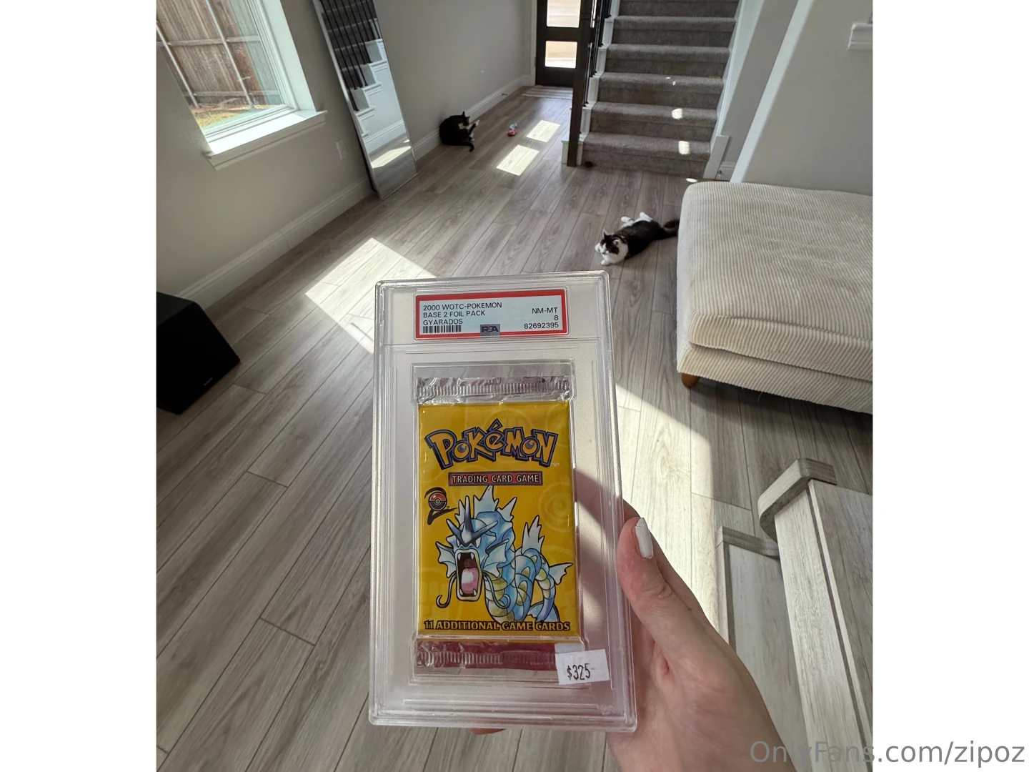 Posting this here too because i love pokemon super into it right now 