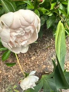 Up to no good xoxo part 3