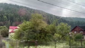 My trip day one hey everyone i just got back from the first day of my part 9