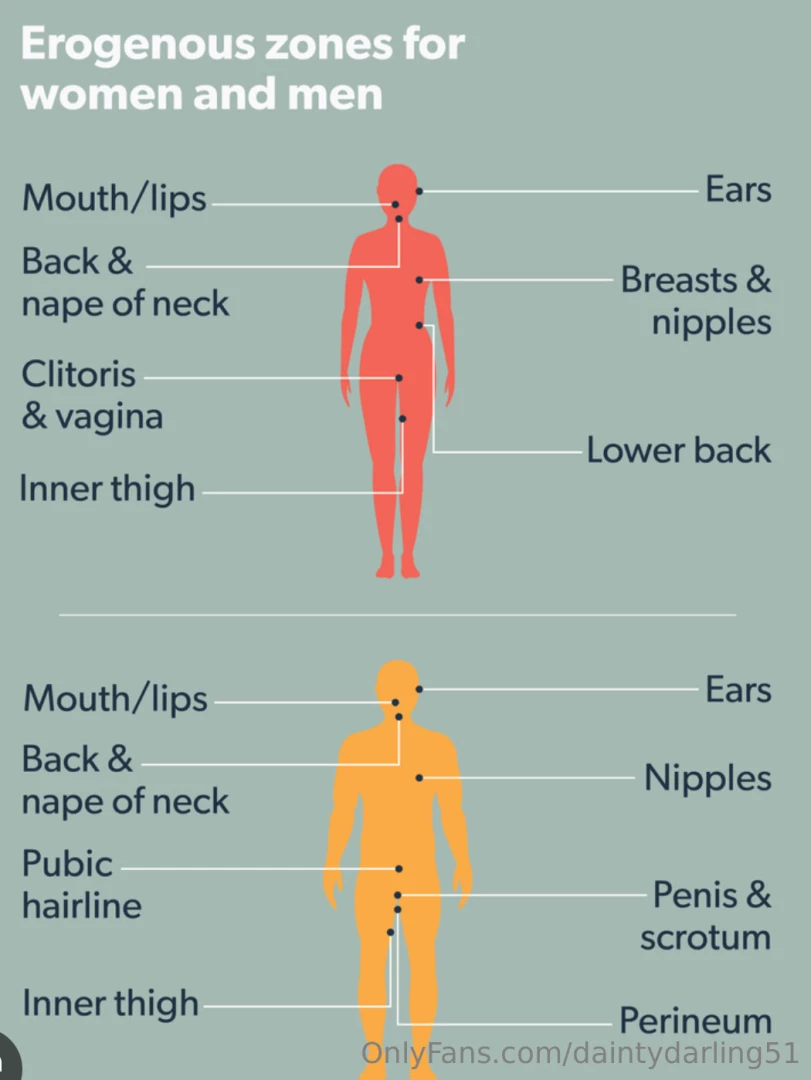 Sex tip tuesday s i a good tip or read up on the erogenous zones inner part 1 