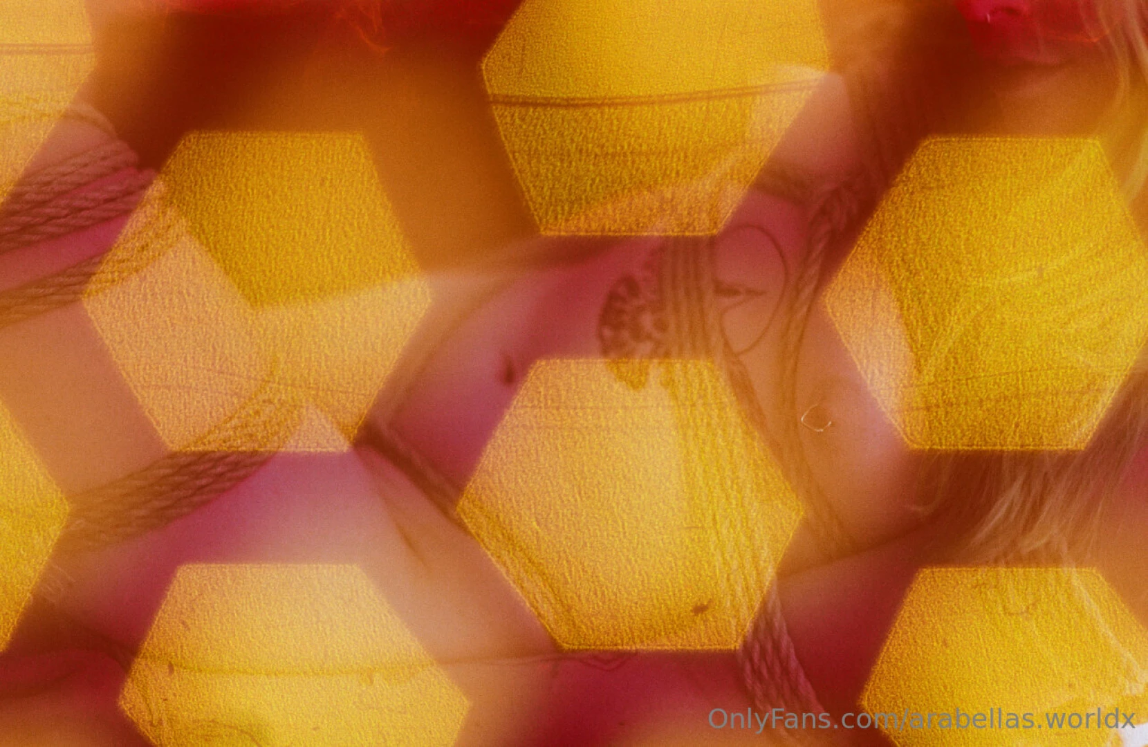 Adorned in gold earlwillougby 