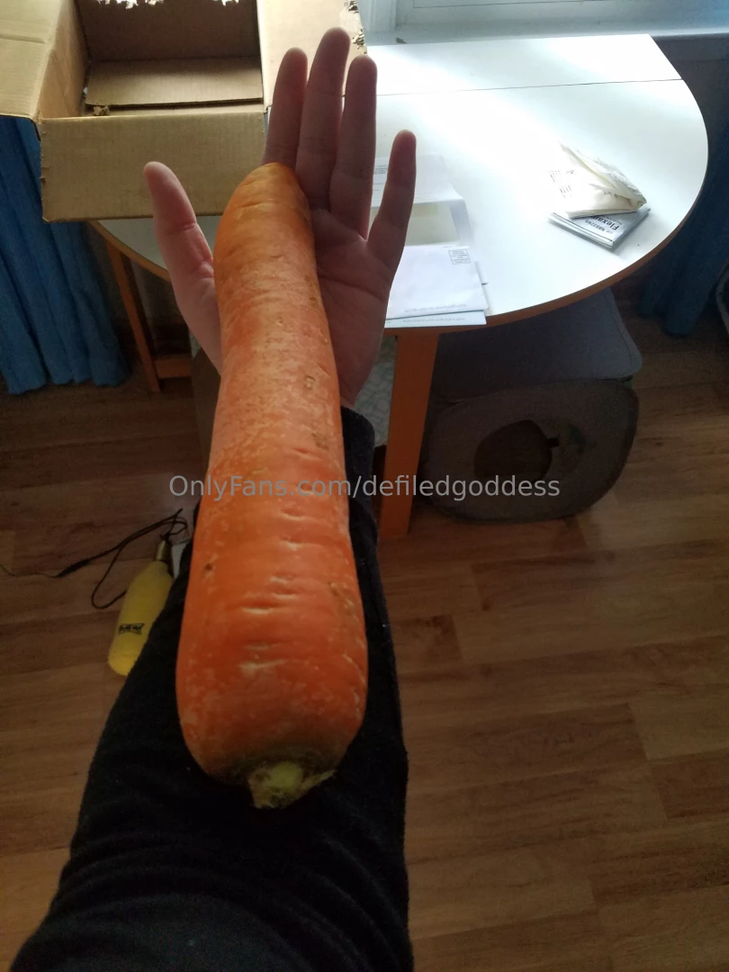 Have you ever seen a carrot this big before 