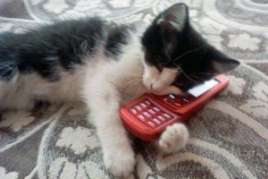 Me speaking to my fans on of rn