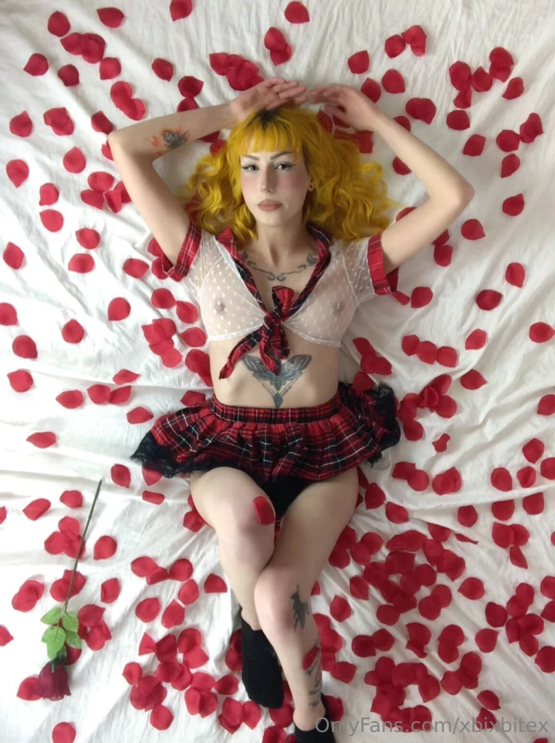 Xbixbitex part 183207 