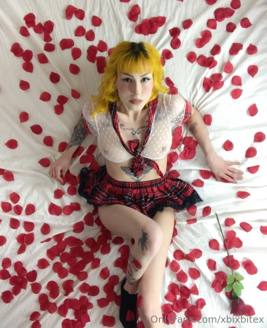 Xbixbitex part 183208 