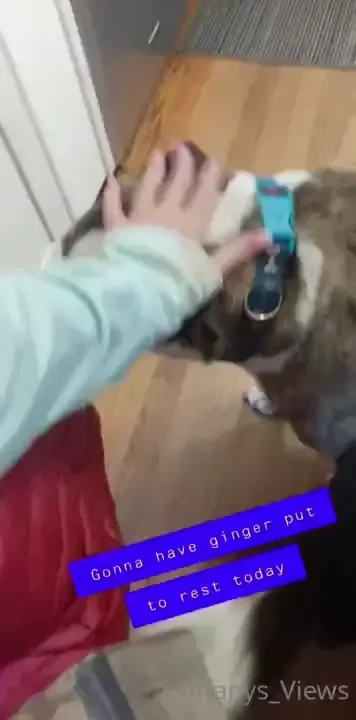 I ve waited long enough she doesn t cry or whimper from pain however 