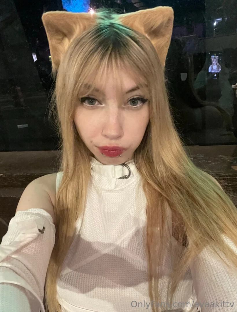 Your fav kitty at ur service 3 