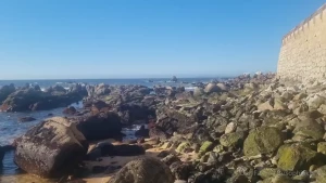 Sex on the beach is now available i fuck with brianincubus in the