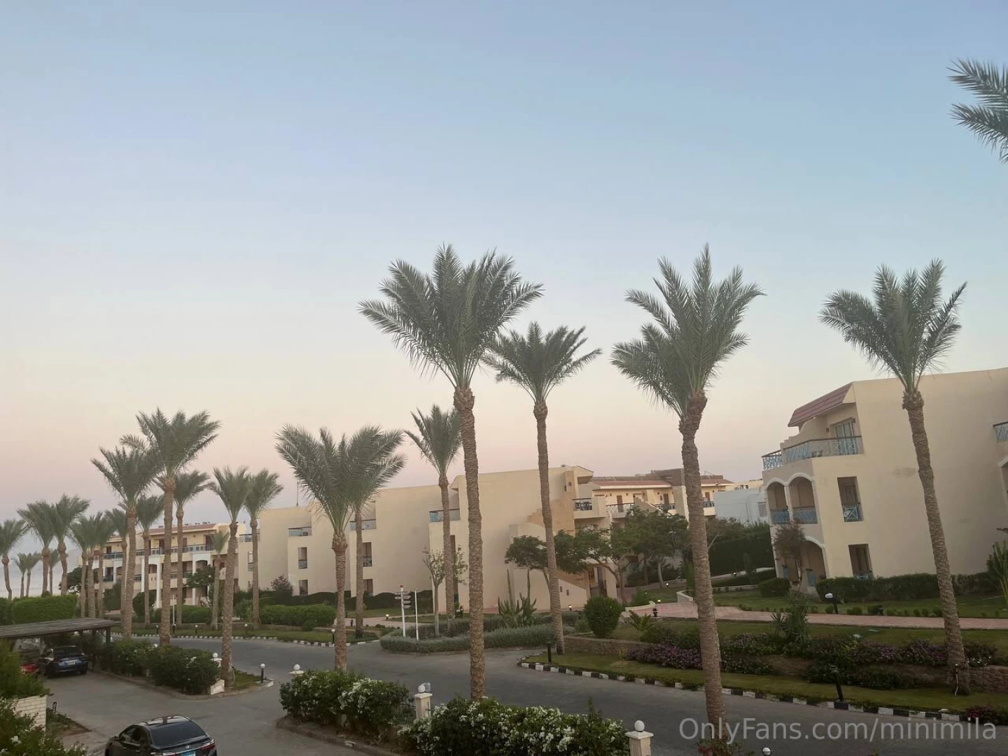 Egypt is heaven on earth sun palm trees sunsets that take your breath part 3 